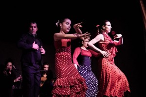 Grupo de Flamenco Tatiana Hass
